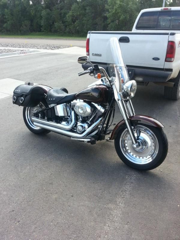 Harley Davidson Excellent Condition 2009 Fatboy Loaded with Options!!