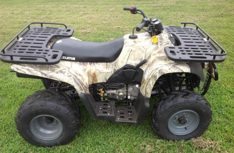 Adult 250cc 4 wheeler 2wd with reverse