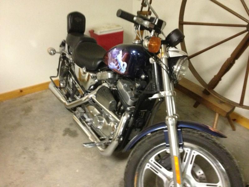 Harley Davidson 883 Motorcycle Custom Paint