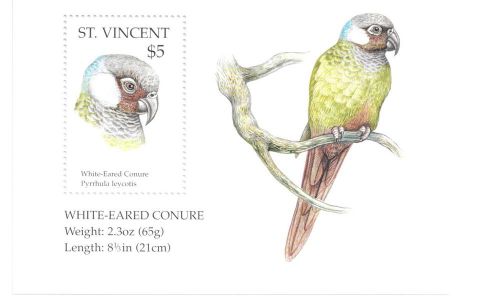 St. vincent- birds, 1995 - sc 2153 s/s mnh