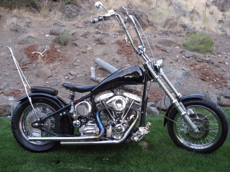 2006 Harley Davidson Shovel-Head Rigid Custom Built