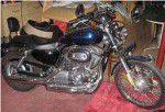 Used 2004 Harley-Davidson Sportster 1200 Custom XL1200C For Sale