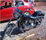 Used 1999 Harley-Davidson Softail Custom FXSTC For Sale