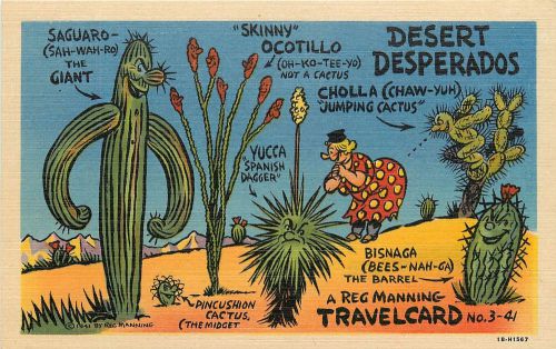 #3-41. Comic Reg Manning Linen Postcard. Desert Desperados. Cactus.