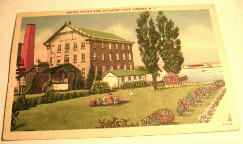 1930&#039;s Cape Vincent (N.Y.) Postcard of Fish Hatchery