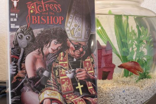 Actress &amp; The Bishop issue #1 (Desperado, Brian Bolland)