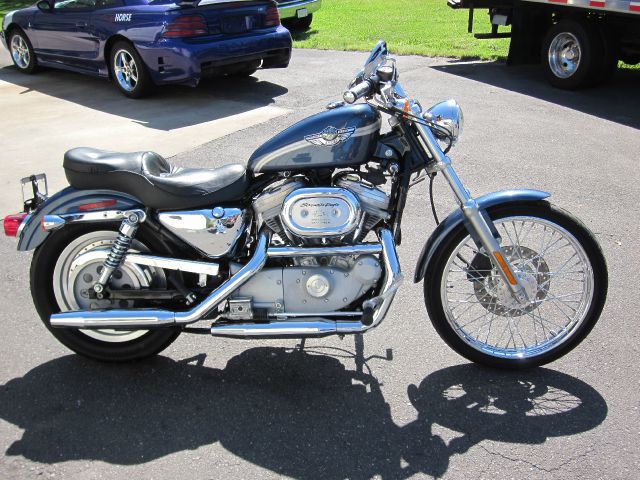 Used 2003 Harley Davidson 883 Custom for sale.