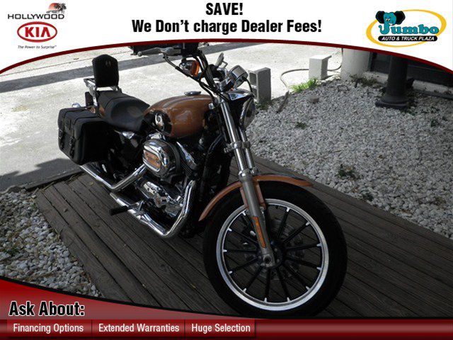 2008 Harley-Davidson Sporter 1200 -