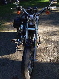 2007 Harley Davidson Sportster XL50 1200 Anniversary Edition-Rare