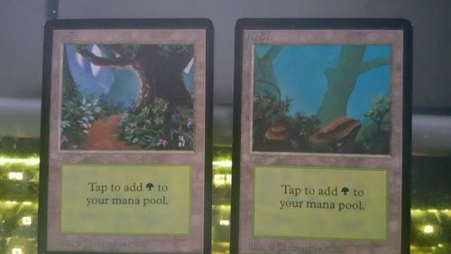MTG - 2X Beta Forest - Free Shipping!