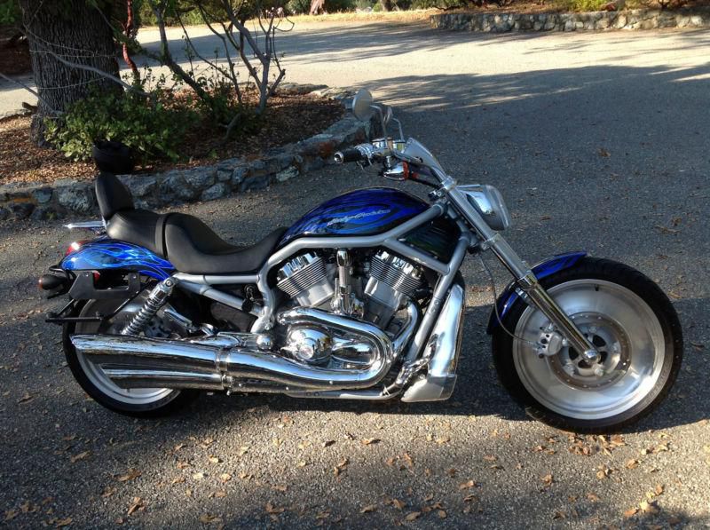 ** BEAUTIFUL 2003 Harley V-Rod with Custom Factory Paint - ONLY 900 Miles!!! ***