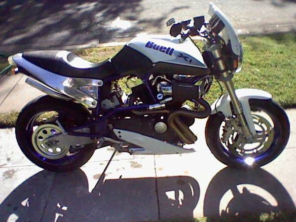 2001 BUELL X1 Sale or Trade