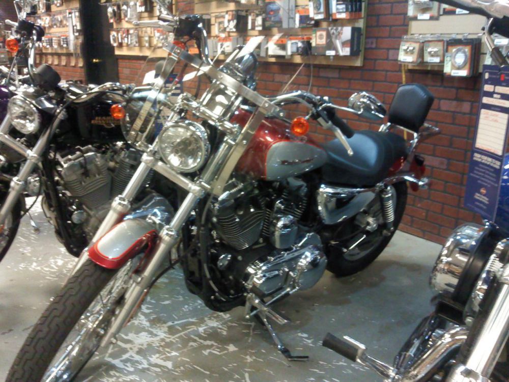 2005 Harley-Davidson Sportster 1200 CUSTOM Cruiser 