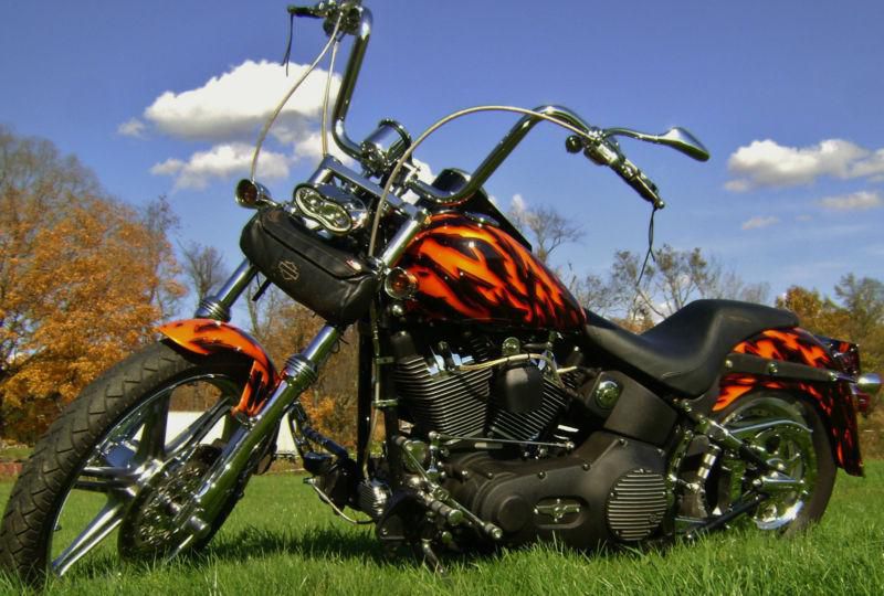 2004 Harley Davidson Nightrain Custom paint