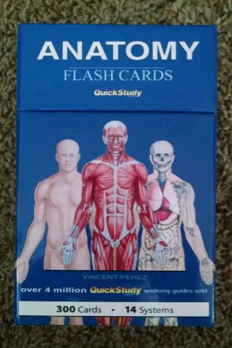 Anatomy Flash Cards Vincent Perez NEW