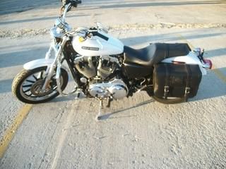 08 Harley Daidson Sporster 1200 Low