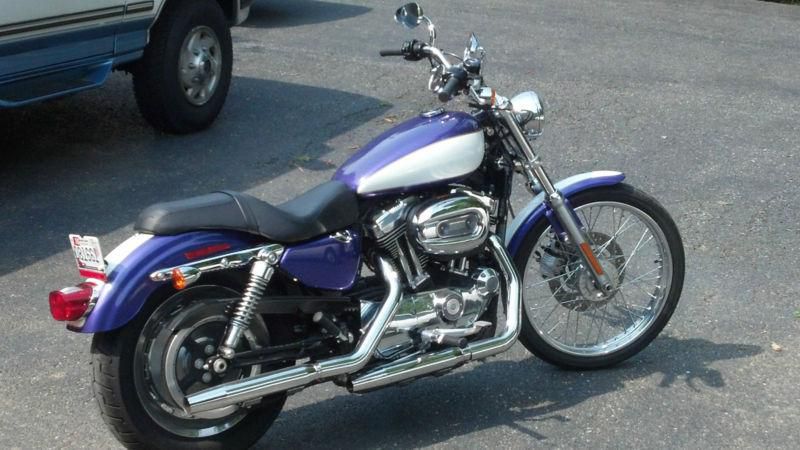 Harley Davidson XL1200c Sportster custom paint