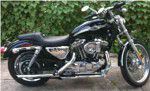 Used 2003 Harley-Davidson Sportster 1200 Custom For Sale