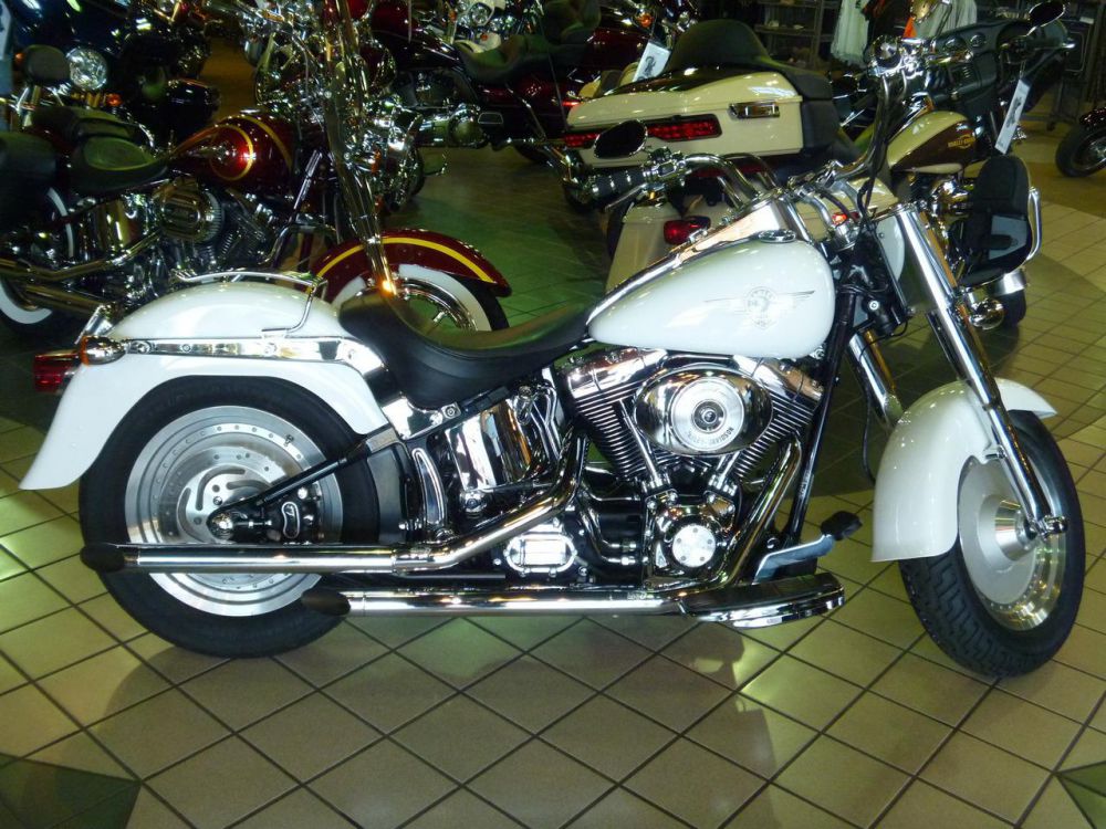 2001 Harley-Davidson FLSTF Cruiser 