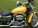 Used 2006 Harley-Davidson Sportster 1200 Custom XL1200C For Sale