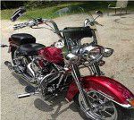 Used 2009 Harley-Davidson Heritage Softail Classic FLSTC For Sale
