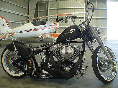 Harley-Davidson : Other 1999 Harley Heritage Softail FLSTC