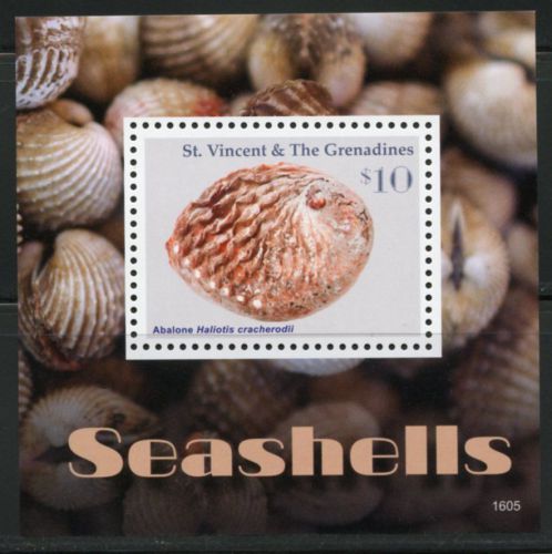 St. vincent grenadines 2016 seashells  souvenir sheet  mint nh