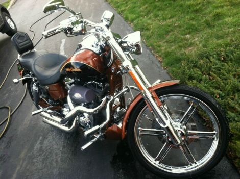 2008 Harley Davidson Dyn