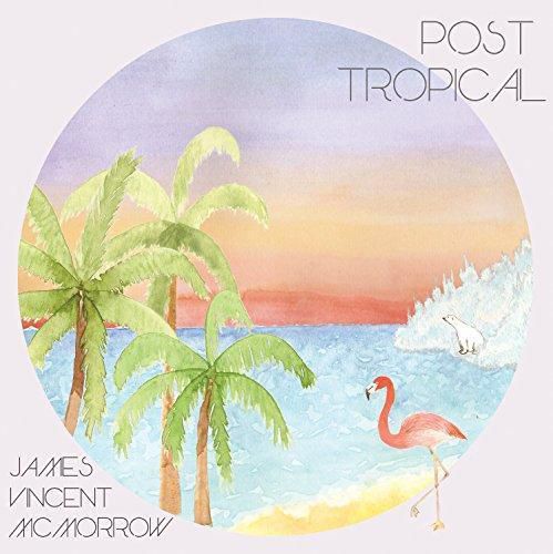 James vincent mcmorrow - post tropical (new cd)