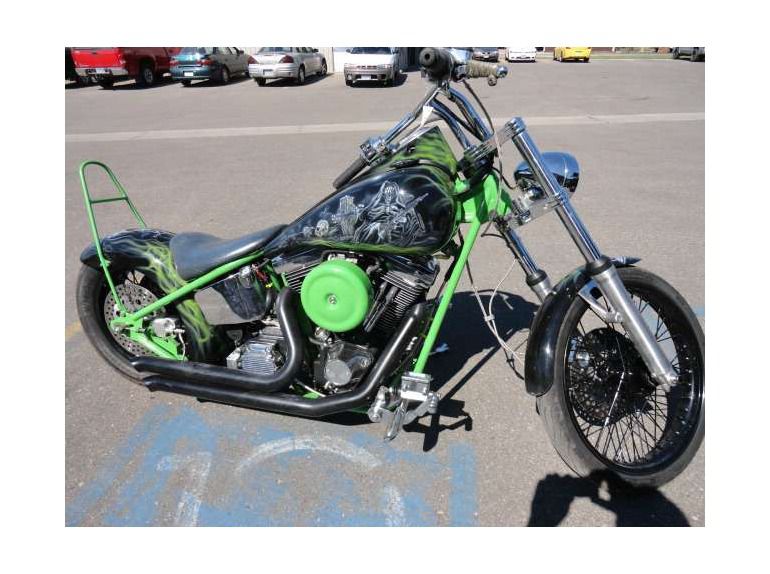 1999 Other CUSTOM BIKE WITH S&S ENGINE AND TRANNY 