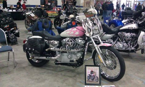 2004 Harley Davidson 883 Custom Sportster