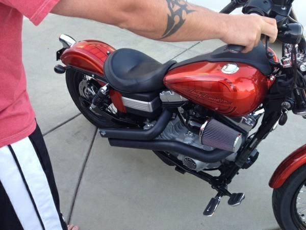 2009 Harley-Davidson Dyna Street Bob Custom 