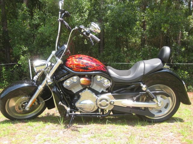 Sale/Trade 2004 Wild/Custom Harley Davidson V-Rod