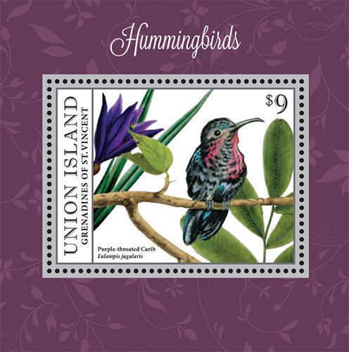 Union island grenadines of st. vincent-2013-birds-hummingbirds