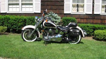 1993 Harley-Davidson® Heritage Nostalgia