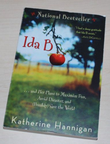 Katherine Hannigan IDA B softcover book