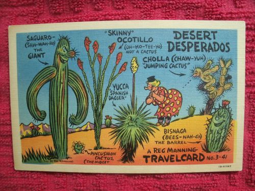 US,Reg Manning Travel Card,Desert Desperados,Comic Cacti,Linen,Unposted,Pristine