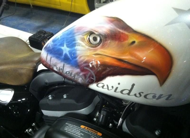 2012 Custom Harley Davidson Screaming Eagle Iron 883 Sportster