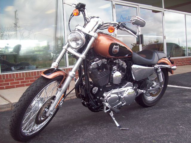 Used 2008 Harley-Davidson Sportster 1200 XL Custom for sale.