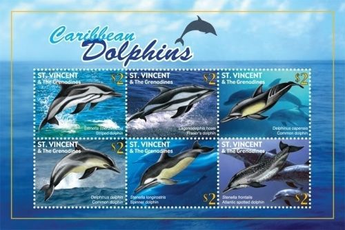 St vincent - caribbean dolphins, 2011 - s/h mnh